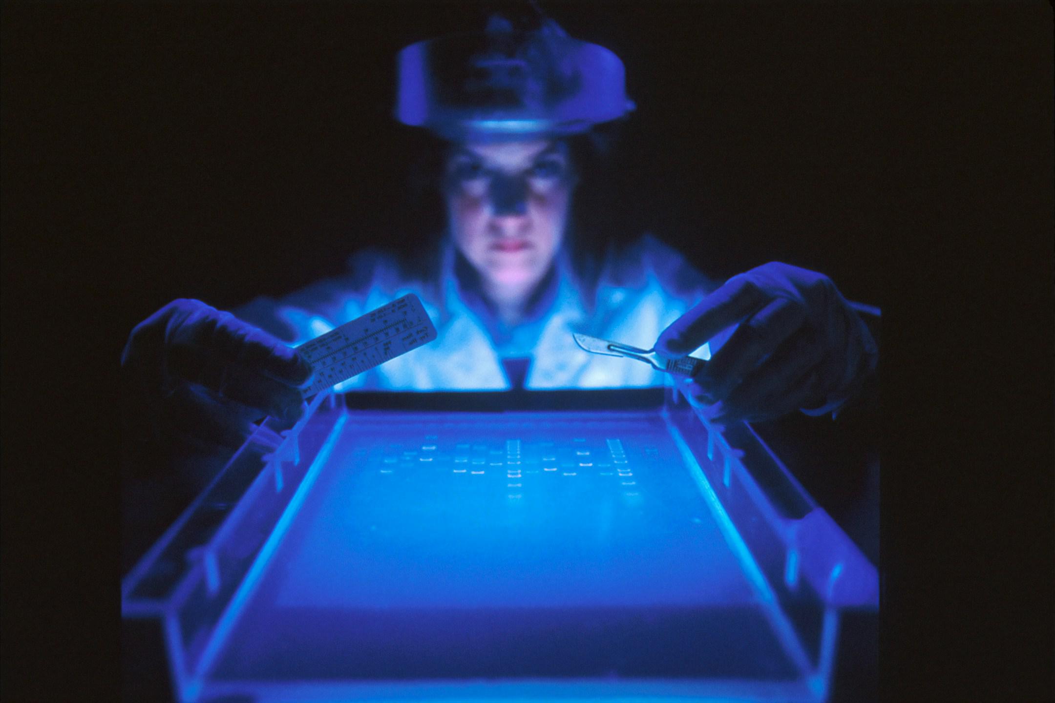 DNA Fragmentation. A dye marker on agarose gel used to separate DNA by a female scientist. The smaller fragments move faster, the larger ones move slower. This separation process is used to analyyze the size of DNA fragments, to map DNA, to separate fragments of DNA to create clones.